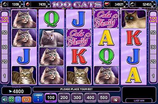 100 Cats