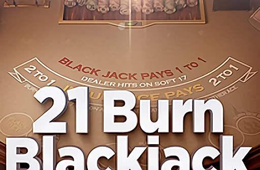 21 Brun Blackjack