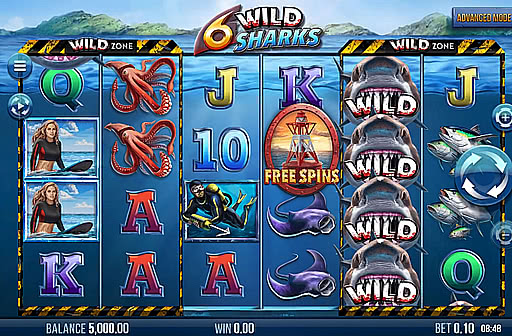 6 Wild Sharks