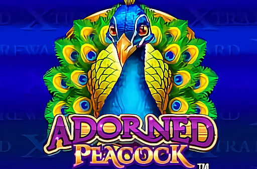 Adorned Peacock