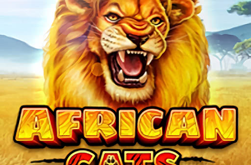 African Cats