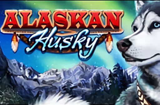 Alaskan Husky