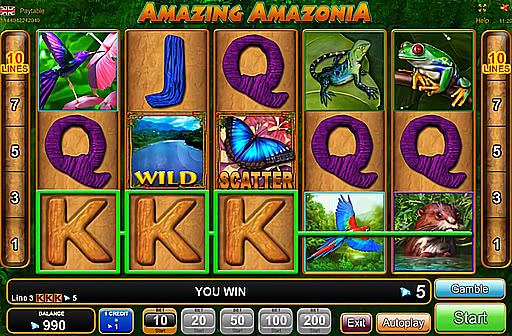 Amazing Amazonia