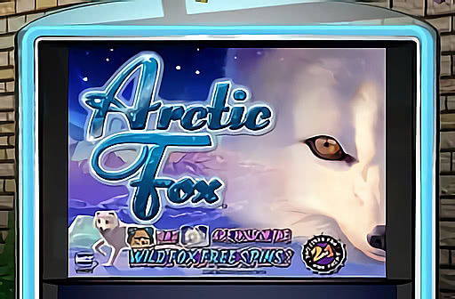 Arctic Fox