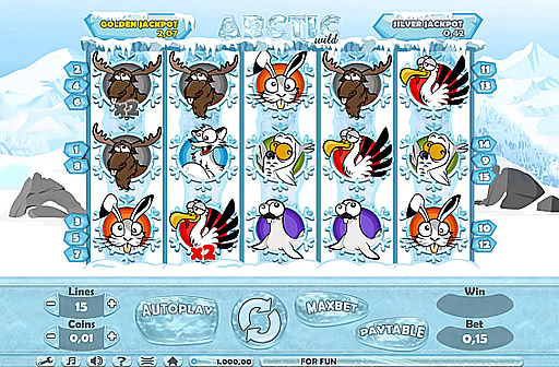 Arctic Wild
