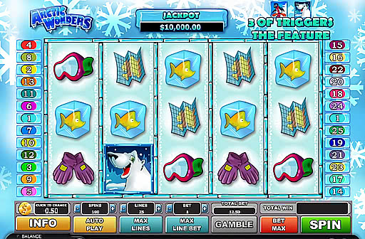 Arctic Wonders