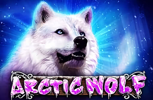Artic Wolf
