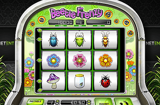 Beetle Frenzy