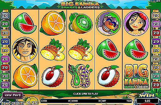 Big Kahuna Snakes and Ladders