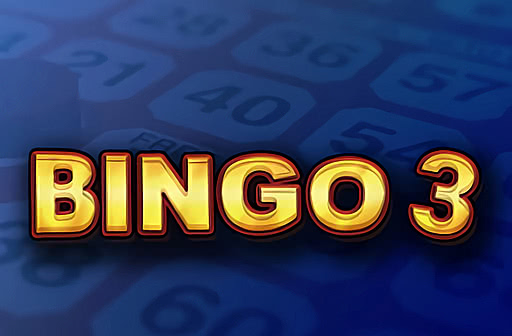 Bingo 3