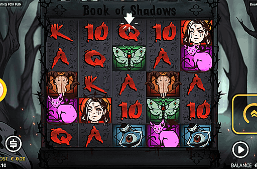 Book of Shadows