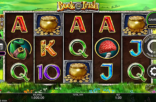 Book of the Irish
