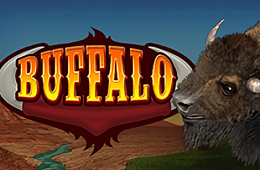 Buffalo Bingo