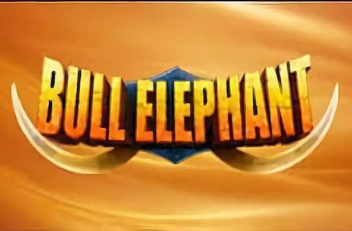 Bull Elephant