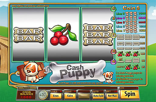Cash Puppy