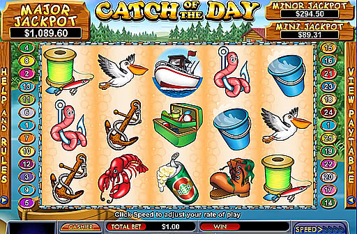 Catch of the Day
