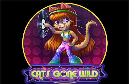 Cats Gone Wild