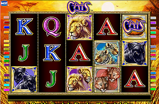 Cats