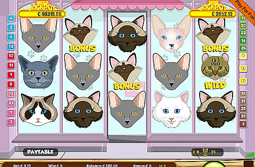 Cats