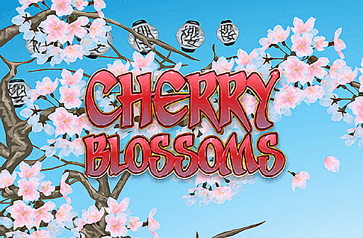Cherry Blossoms