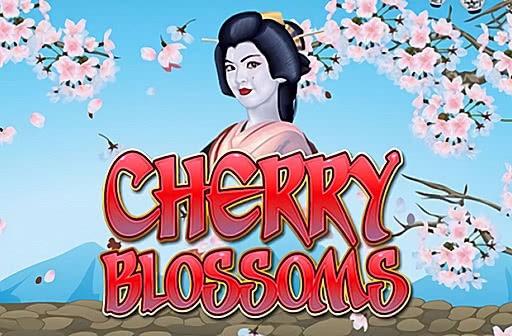 Cherry Blossoms