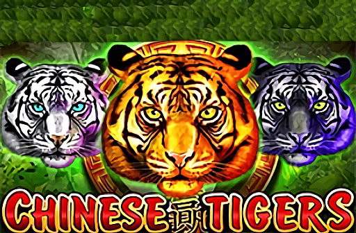 Chinese Tigers