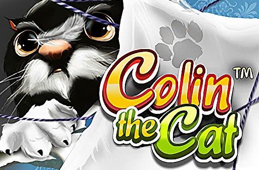 Colin the Cat