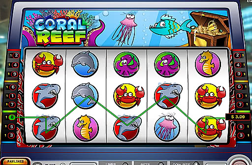 Coral Reef