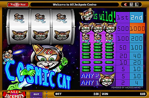 Cosmic Cat
