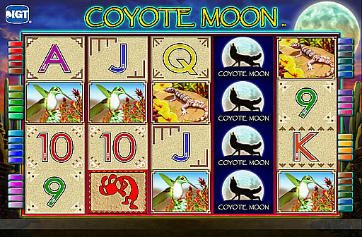 Coyote Moon