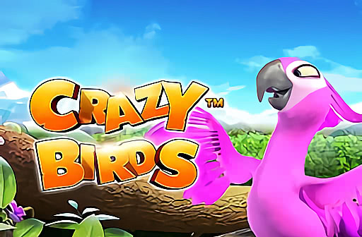 Crazy Birds