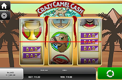Crazy Camel Cash