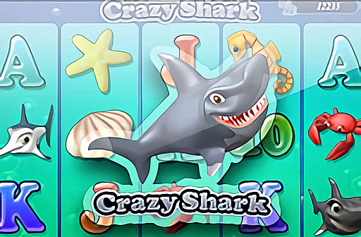 Crazy Shark