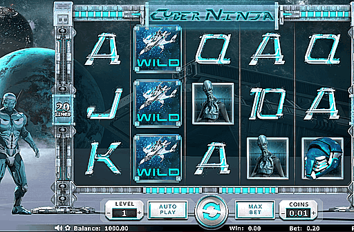 Cyber Ninja