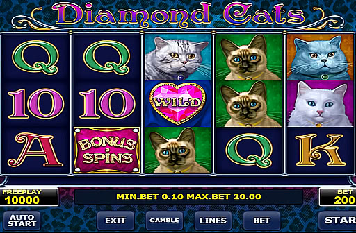 Diamond Cats