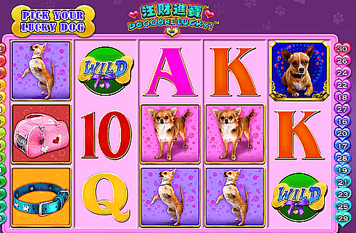 Doggone Lucky