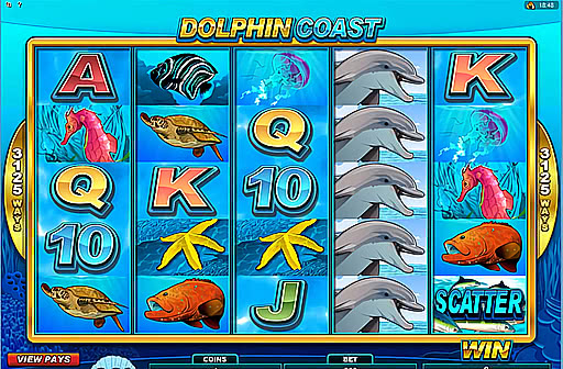 Dolphin Coast