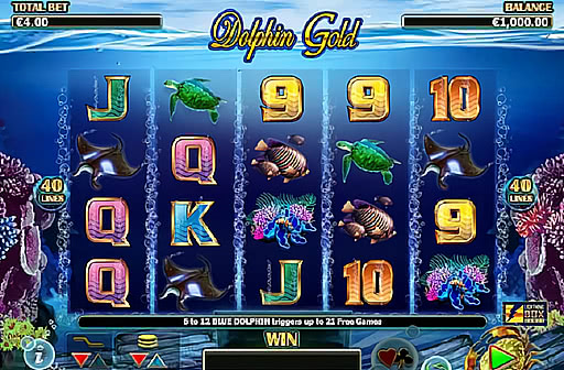 Dolphin Gold