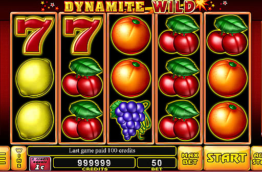 Dynamite Wild