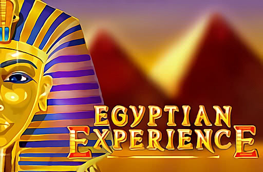 Egyptian Experience