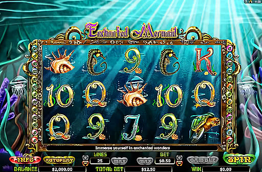 Enchanted Mermaid