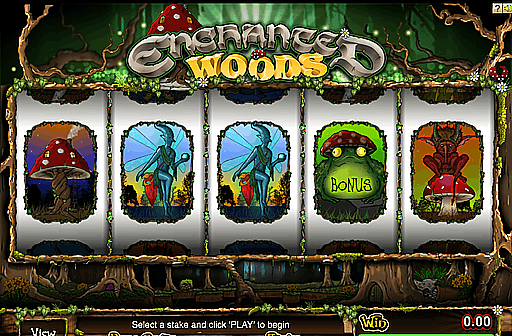 Enchanted Woods