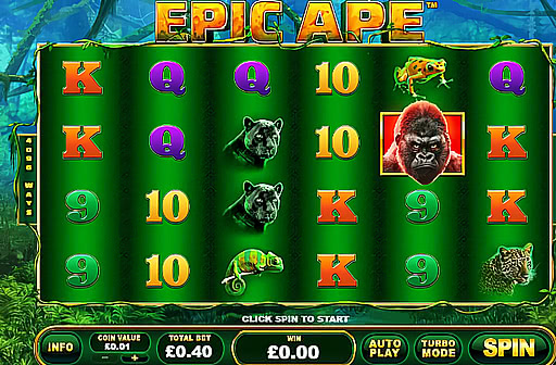 Epic Ape