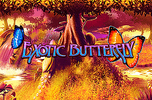 Exotic Butterfly