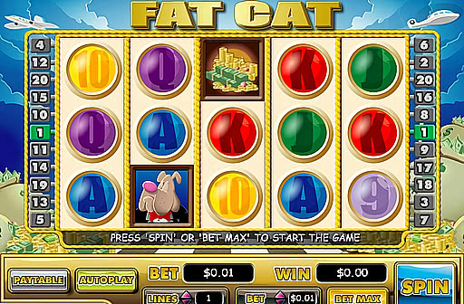 Fat Cat