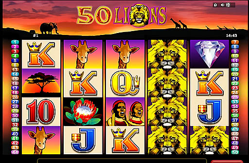 Fifty Lions