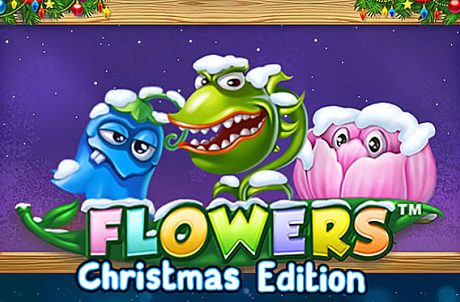 Flowers Christmas Edition