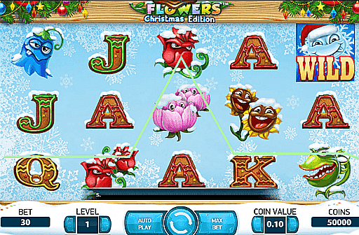 Flowers Christmas Editions