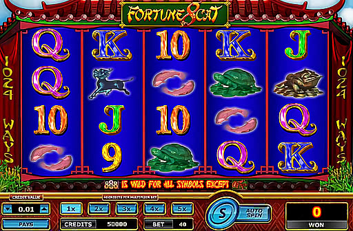 Fortune 8 Cat