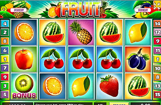 Fruit